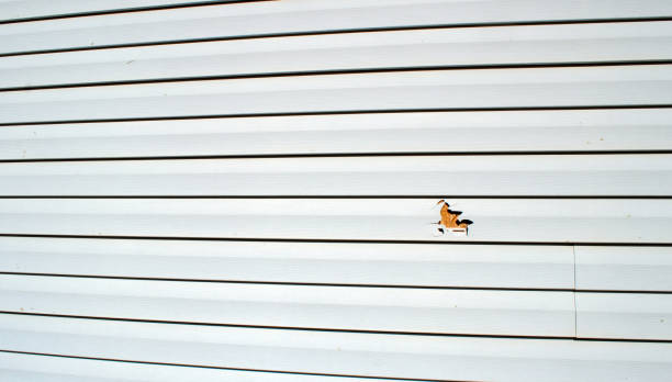 Best Storm Damage Siding Repair  in San Mateo, CA