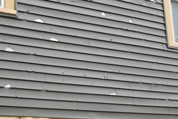 Best Insulated Siding Installation  in San Mateo, CA